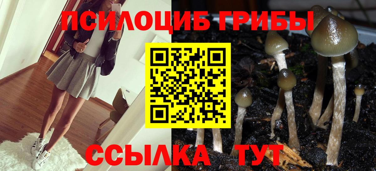 Гуково  Псилоцибиновые грибы MAGIC MUSHROOMS  Галлюциногенные грибы прущие грибы  Вход с VPN 