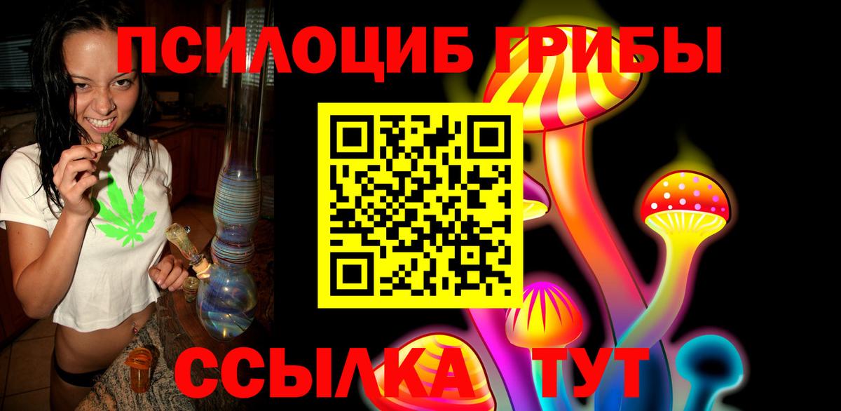 Псилоцибиновые грибы мицелий Гуково